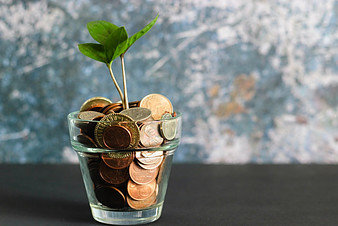 seedling grow in a glass filled with coinss